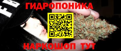 скорость Донской