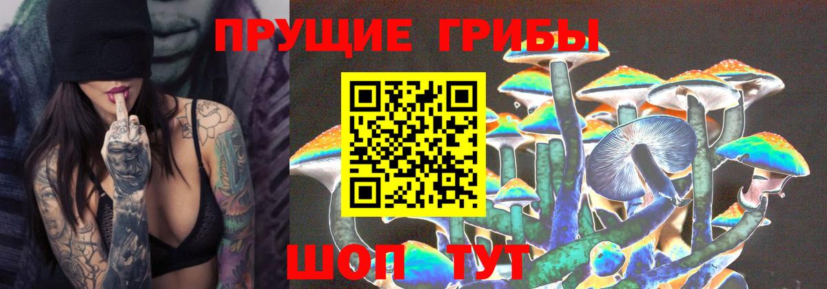 купить наркотик  Псилоцибиновые грибы мицелий  Псилоцибиновые грибы прущие грибы  Вход с VPN  Южно-Сахалинск 