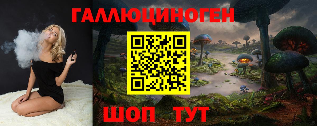 Галлюциногенные грибы Psilocybine cubensis Южно-Сахалинск